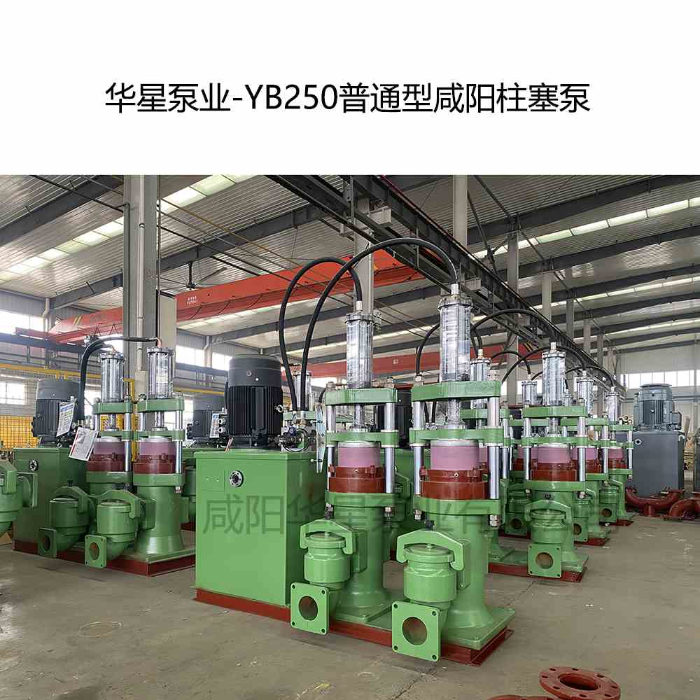 華星泵業-YB250普通型咸陽柱塞泵